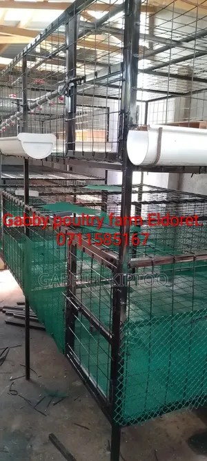 Local Chicken Cages