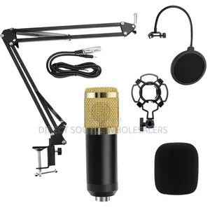 Professional Vocal Recording Microphone