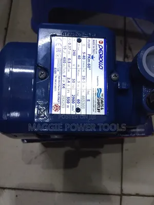 Good Quality and Affordable Pedrollo/Davis Pedrollo Water Pump