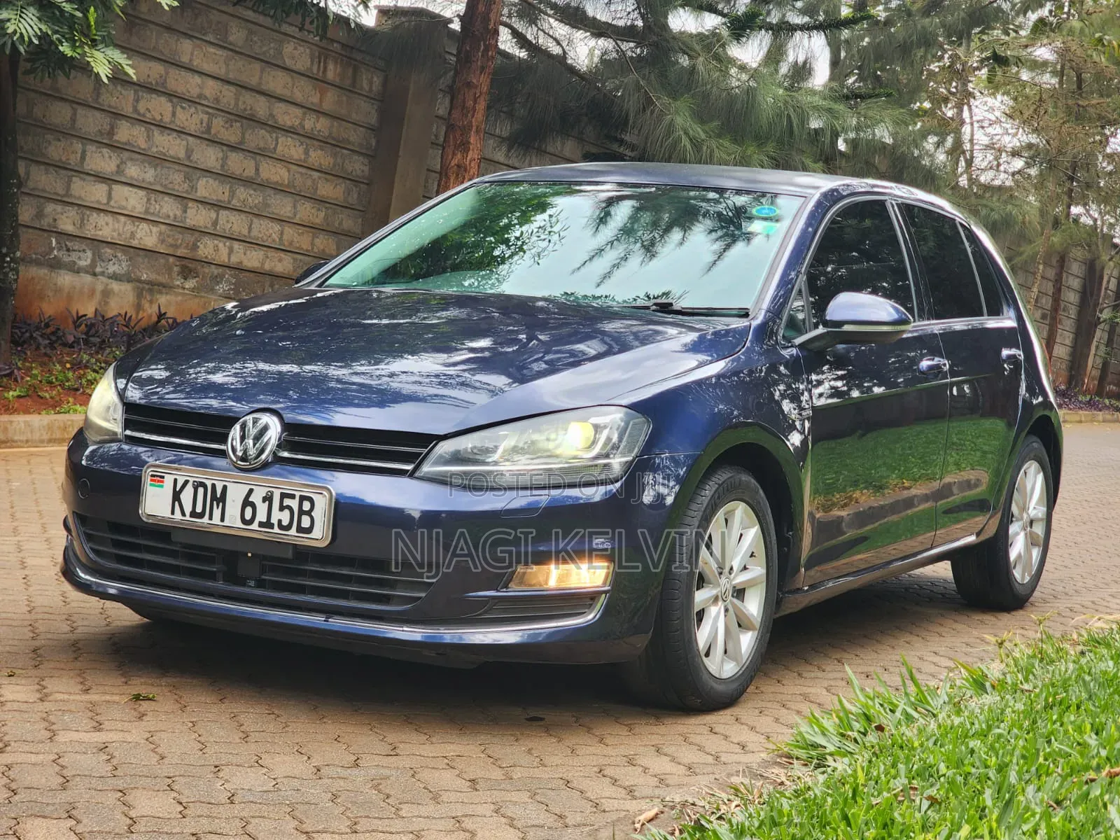 Volkswagen Golf 2016 Blue
