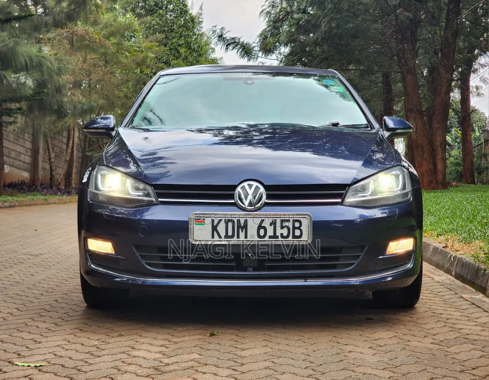 Volkswagen Golf 2016 Blue