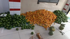 Organic Sweet Juicy Pixies and Avocados