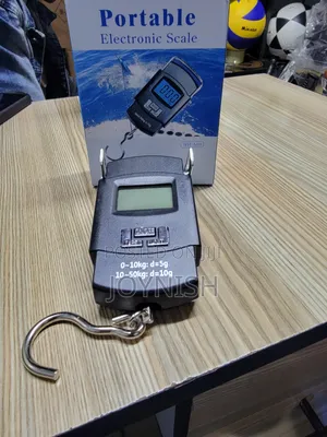 Portable Electronic Scale 50kgs