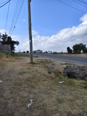 Commercial Plots for Sale in Birika.
