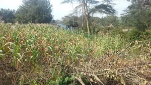 Ruai Mawe Mbili