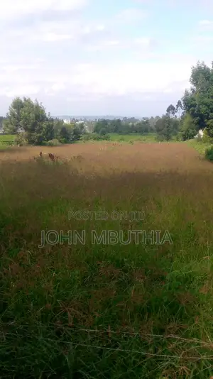 1 Acre Land for Sale at Tilisi Area