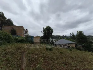 Affordable Quarter Acre Plot in Ngong, Matasia Along Silanga Road