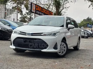 Toyota Corolla Fielder 2019 White