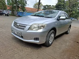 Toyota Axio 2010 Silver