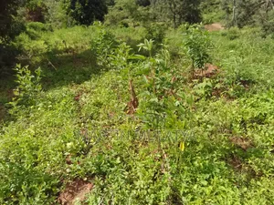 Plot for Sell