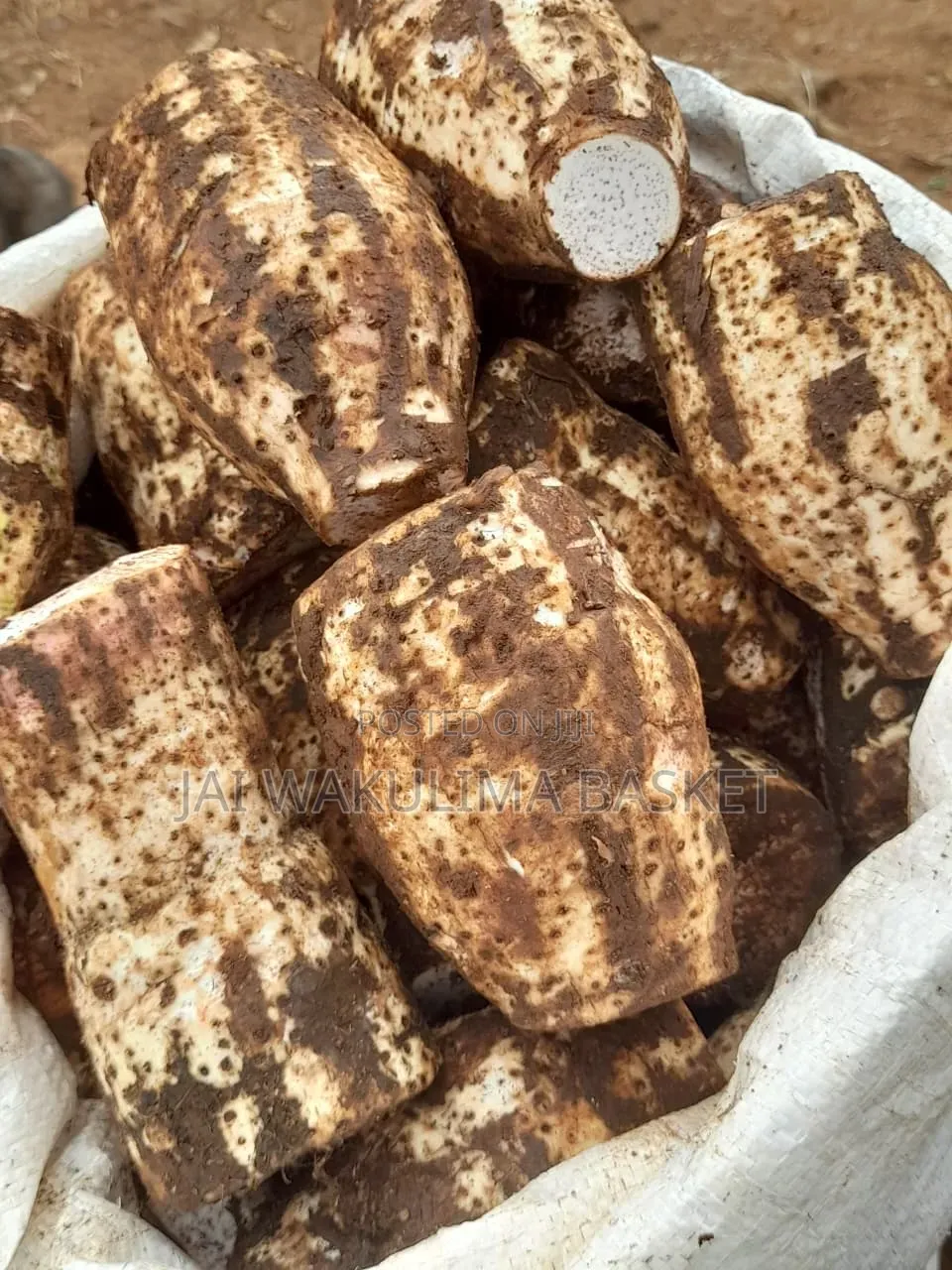 Arrow Roots (Nduma)