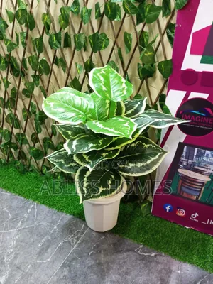 Artificial Home Decor