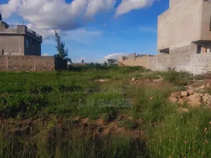 50/100 Plot on Sale Malaa