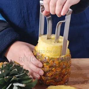 Pineapple Corer_cu