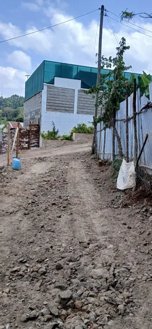 Prime 1⁄4 Acre Plot for Sale – Kerarapon Drive
