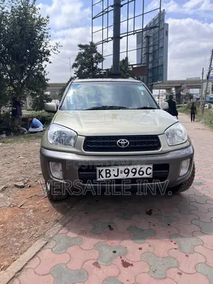 Toyota RAV4 2005 Gold