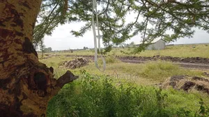 Land for Sell