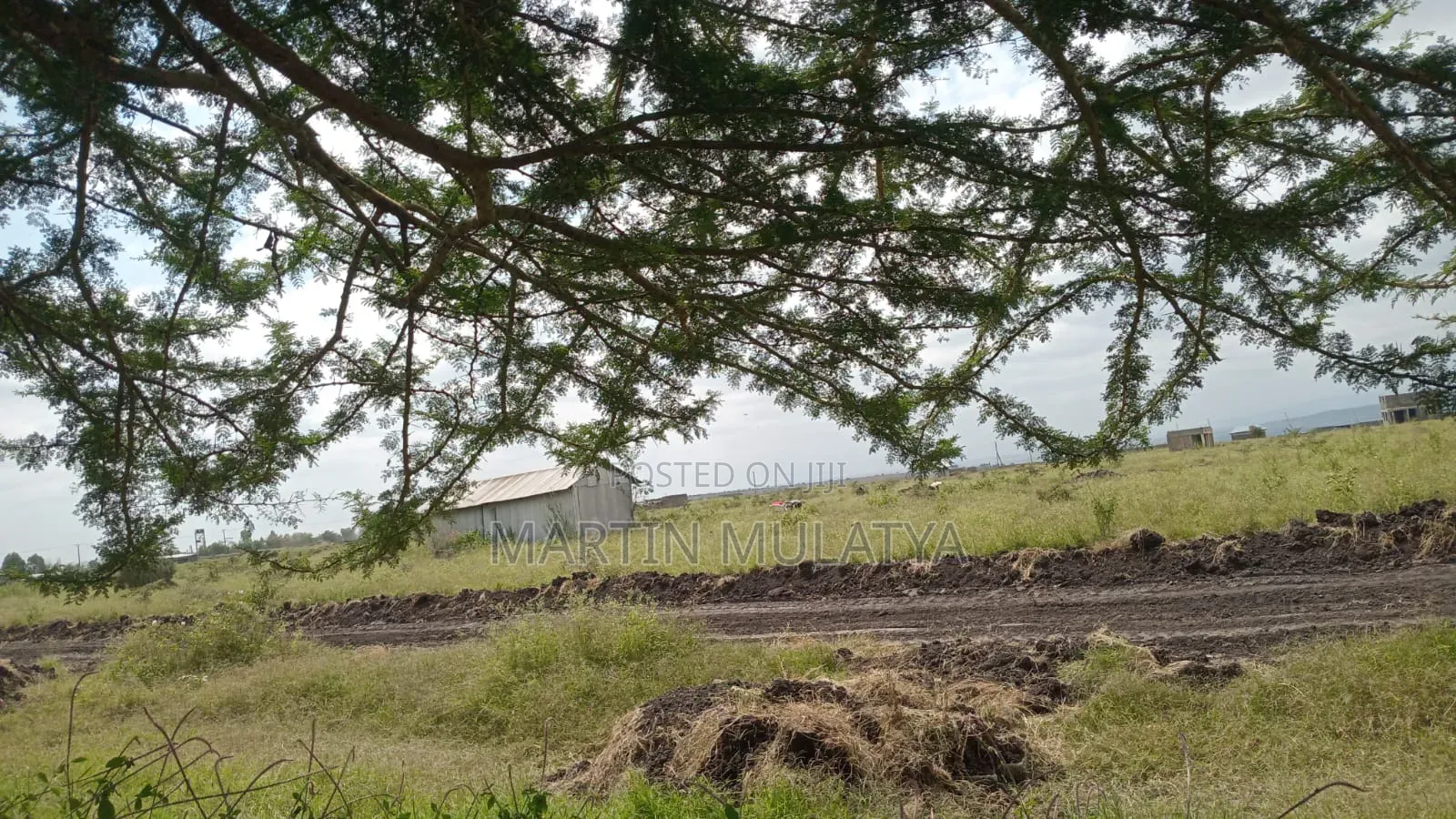 Land for Sell