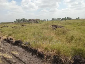 Land for Sell