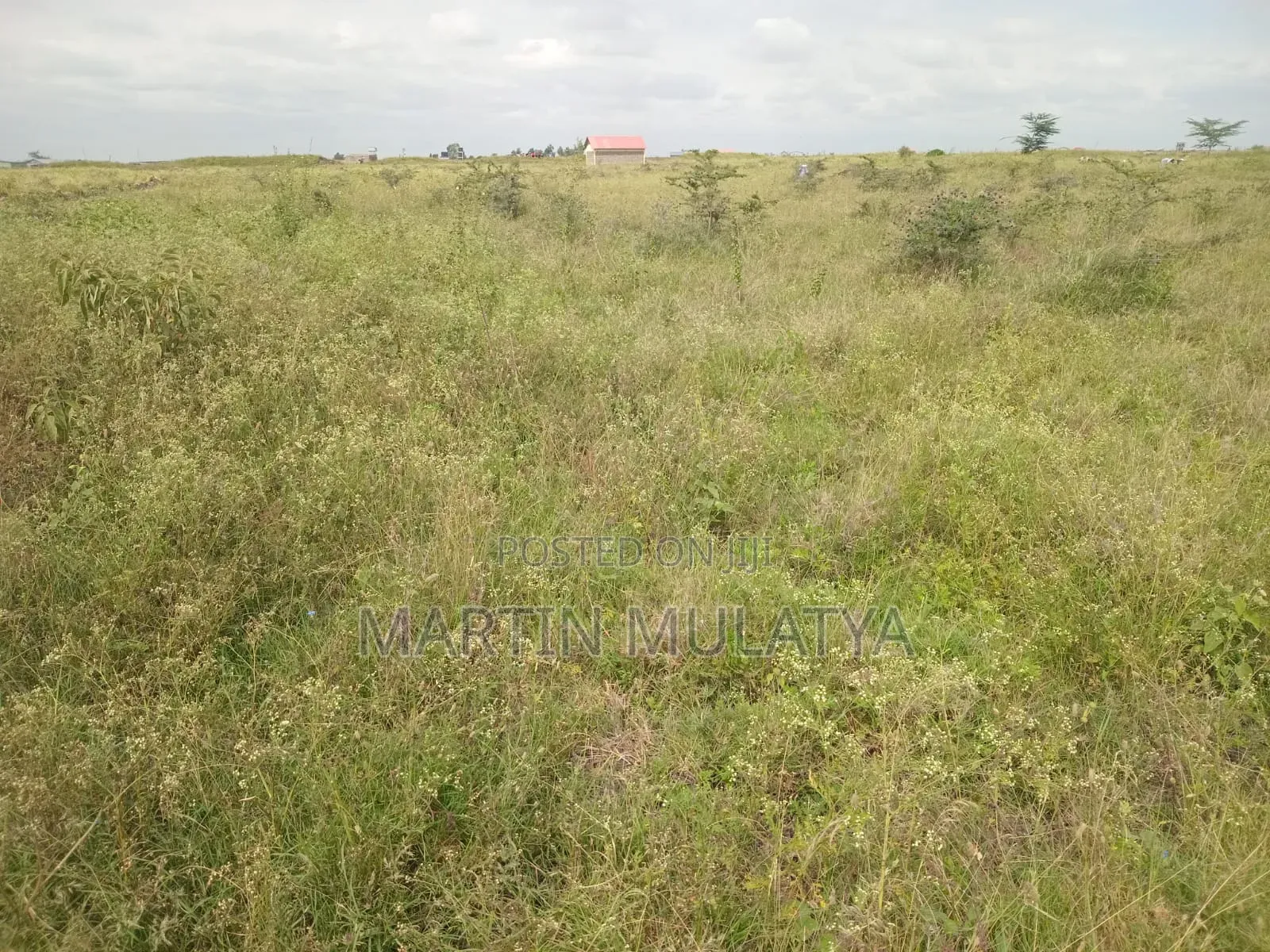 Land for Sell