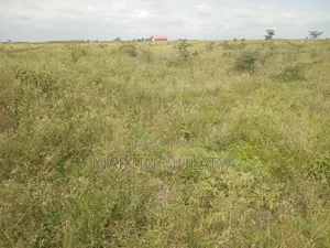 Land for Sell