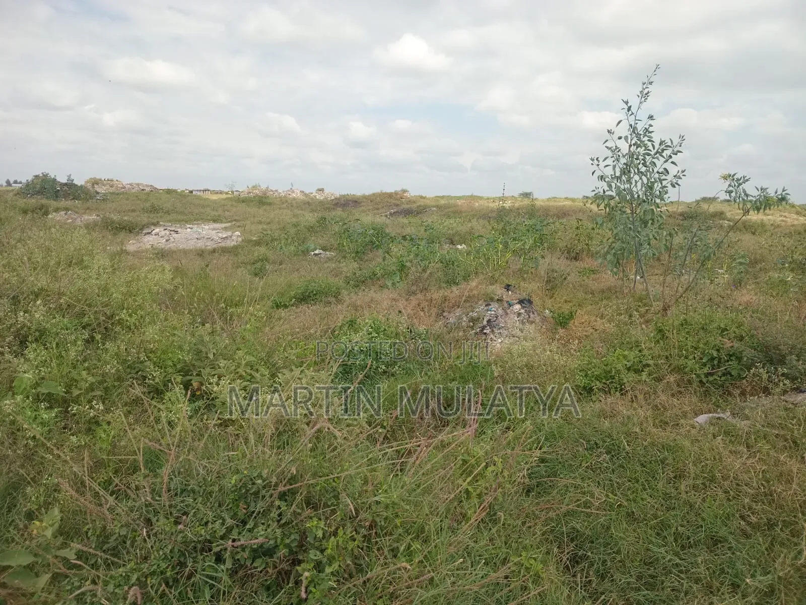 Land for Sell
