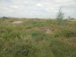 Land for Sell