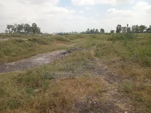 Land for Sell