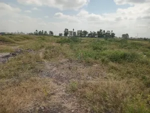 Land for Sell