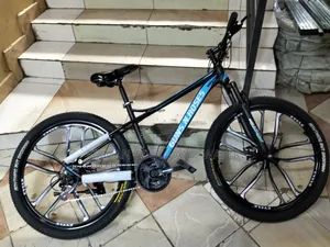 Top Mountain Bike 10 Gear Shift Size 24 Fully Serviced