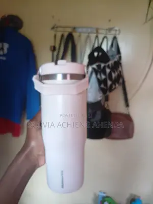 Modern Stanley Mug