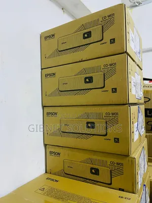 Epson Projector Co-W01