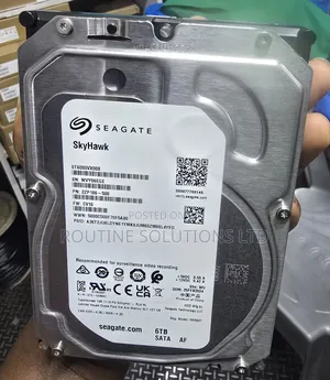 Seagate Skyhawk Hard Disk 6tb