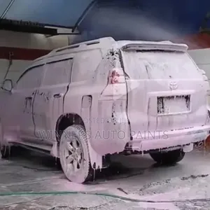 Car Wash and Auto Detailing