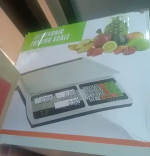 Electric Pricing Scale/Weighing Scale