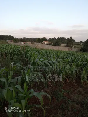 Second Row 1acre Land On Sale In Boroti