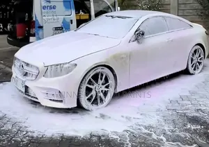 Carwash and Auto Detailing Services