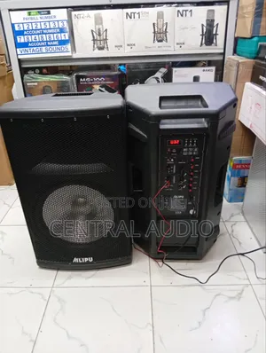 Ailipu Active Pair Speakers(15inch)