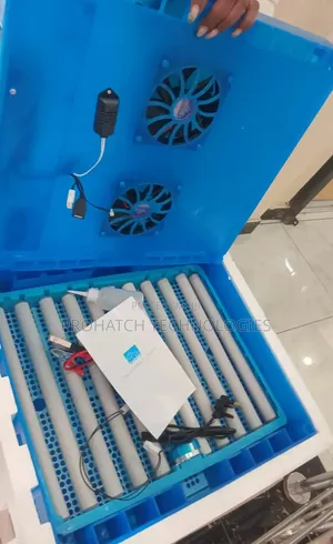 Automatic Ac /Dc Egg Incubator/ 64 Eggs