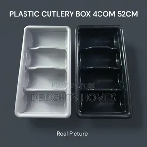 Plastic Cutlery Box_b