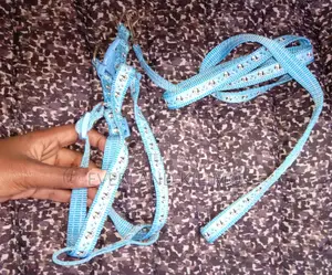 Dog Harness Collar Leash Set
