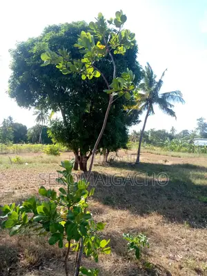 2 Acre Land at Bodoi Next to Crocodile Farm on Msa North Interchange
