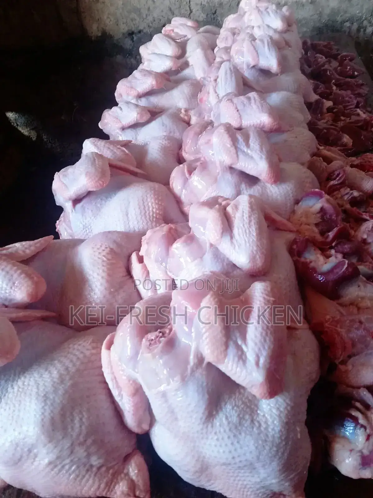 Fresh Farm Chicken– 9th Batch Ready for Order in 3 Weeks| 1.8kg–2.3kg