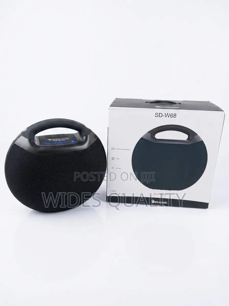 100 Watts Portable Speaker