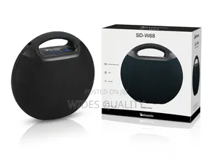100 Watts Portable Speaker