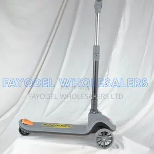Scooter Ride-on and Kick Scooter for Kids