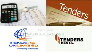 Professional Tender Documentation Bidding Services