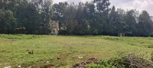 50*100 Plots Sale in Ngong Ololua 46'