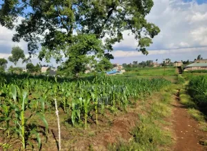 Githunguri Town - 1 Acre for Sale