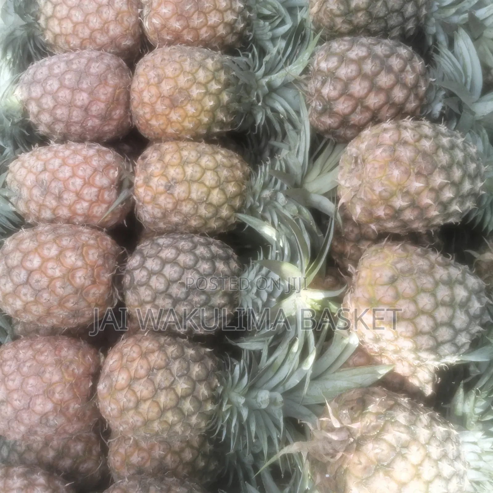 Jai Wakulima Basket
